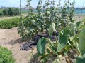IMG_20260830_112816