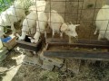 IMG_20260831_103554