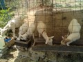IMG_20260831_103602