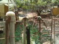 IMG_20260831_103625