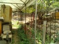 IMG_20260831_103734