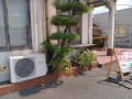 IMG_20260831_111034