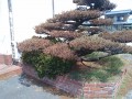 IMG_20260831_111116