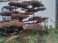 IMG_20260831_111128