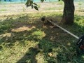 IMG_20260831_120352