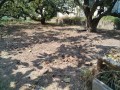 IMG_20260831_120356