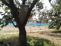 IMG_20260831_120400