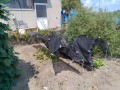 IMG_20260831_120612