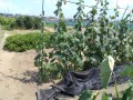 IMG_20260831_120622