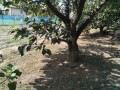 IMG_20260901_094213