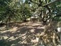 IMG_20260901_094215