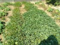IMG_20260901_102149