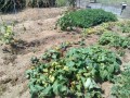IMG_20260901_102152