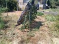 IMG_20260901_102208