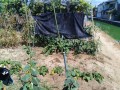 IMG_20260901_102218