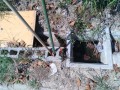 IMG_20260901_103428
