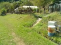 IMG_20260901_103455