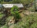 IMG_20260901_103539