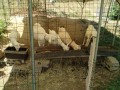 IMG_20260901_103739