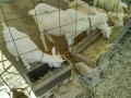 IMG_20260901_103757