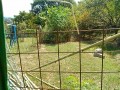 IMG_20260901_103852