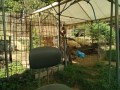 IMG_20260901_104136