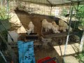 IMG_20260902_083508