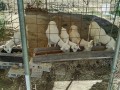 IMG_20260902_083513