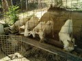 IMG_20260902_083519