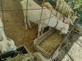 IMG_20260902_083541