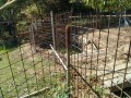 IMG_20260902_083636