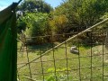 IMG_20260902_083639