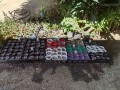 IMG_20260902_105938