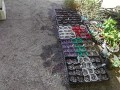 IMG_20260902_105944