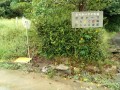 IMG_20260904_090242