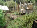 IMG_20260904_090442