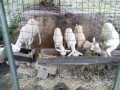 IMG_20260904_090742