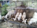 IMG_20260904_090749