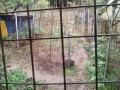 IMG_20260904_090802