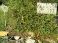 IMG_20260905_075520