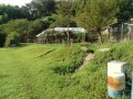 IMG_20260905_075604