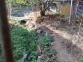 IMG_20260905_075945