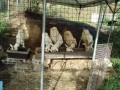 IMG_20260905_075958