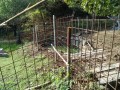 IMG_20260905_080015