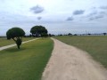 IMG_20260905_111717