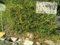 IMG_20260906_083212