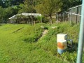 IMG_20260906_083246