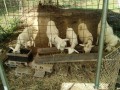 IMG_20260906_083634