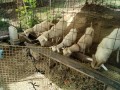 IMG_20260906_083640