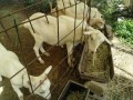 IMG_20260906_083655